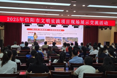 信陽市文明實踐項目現場展示交流活動策劃方案